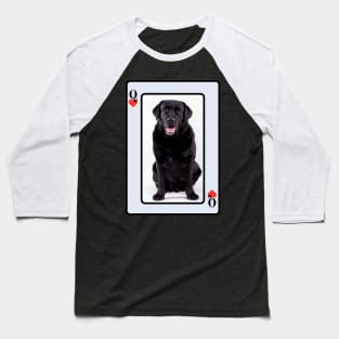 Black Labrador Baseball T-Shirt